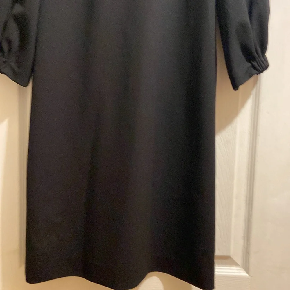 Tibi - Picture 3 of 13